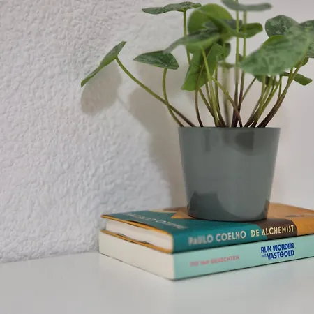 Homestay Need Valencia