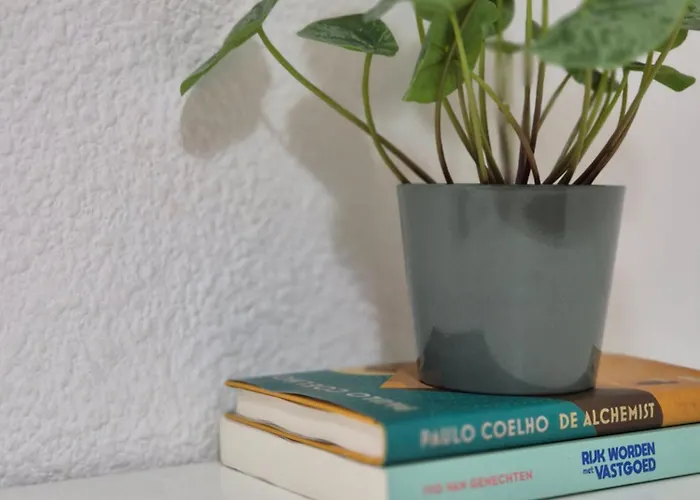 Homestay szállás Need Valencia